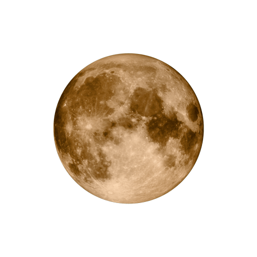 MISSION TO THE MOON,BIOCERAMIC MOONSWATCH,￥2,300